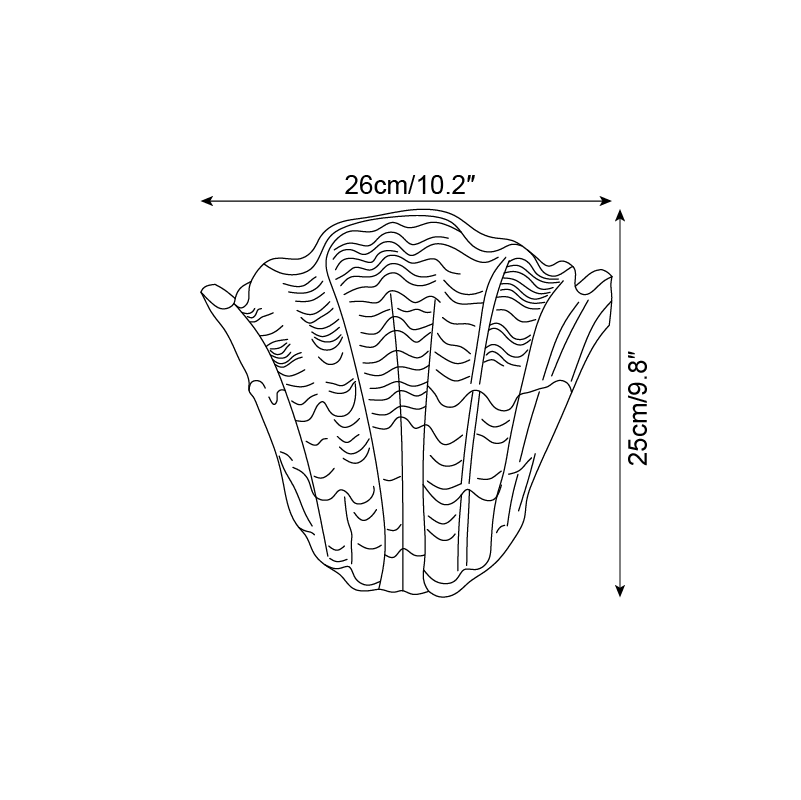 Applique Murale Coquille Plâtre Coquillage Forme Artistique